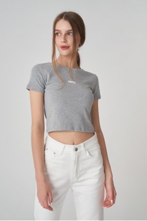Футболка короткий рукав Happy Swetty 682 Сірий